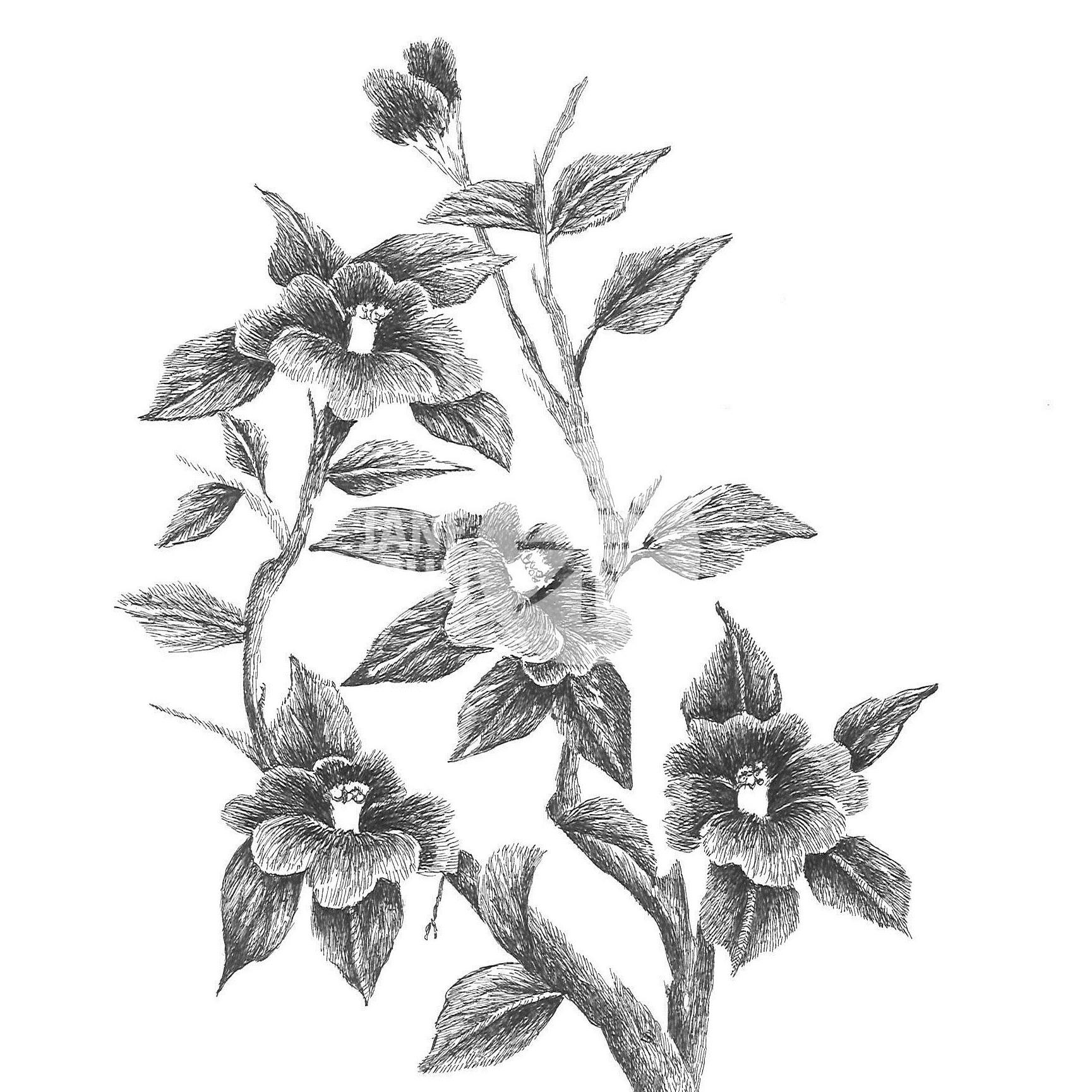 The Happiness Screen: A Korean Daughter’s Story of Pain and Hope