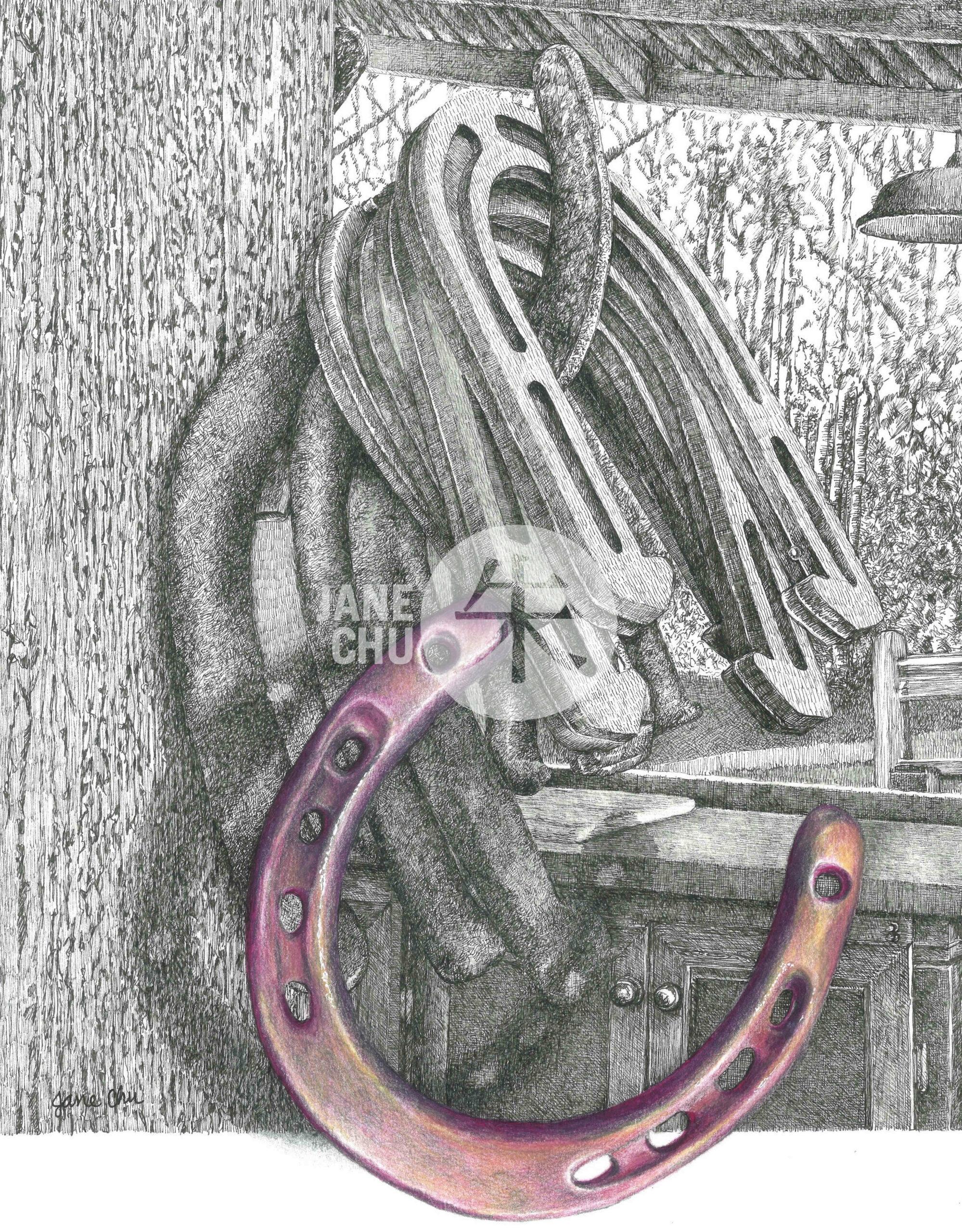 Horseshoes